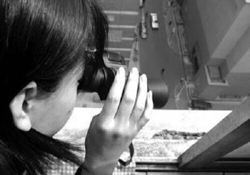 离婚证领取需要什么条件